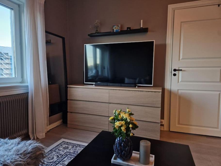 Private In Apartment Oslo